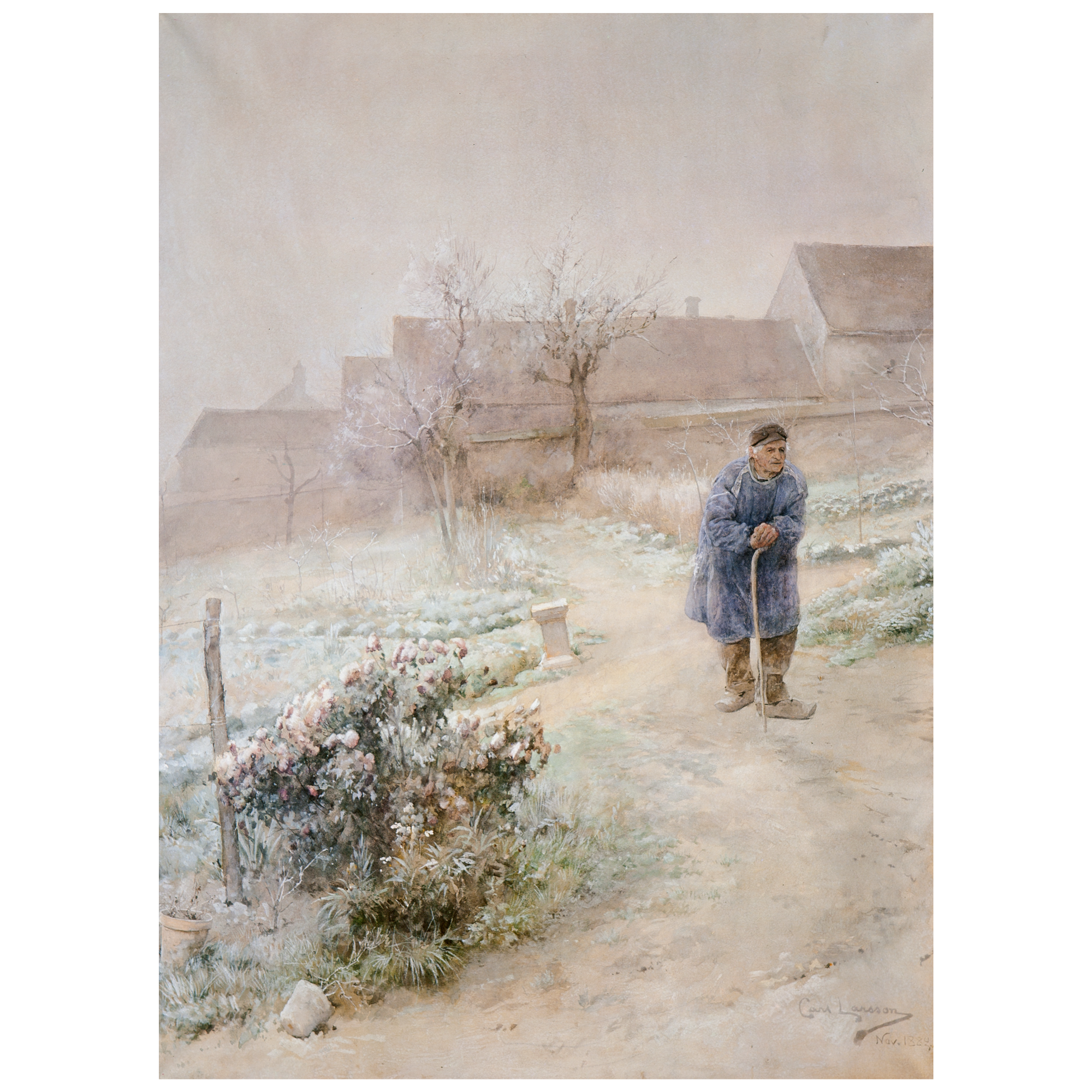 November – Reproduktion
